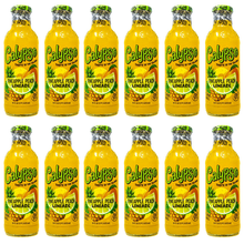 Laden Sie das Bild in den Galerie-Viewer, Calypso Pineapple Peach 473 ml 12 Flaschen