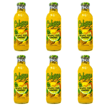 Laden Sie das Bild in den Galerie-Viewer, Calypso Pineapple Peach 473 ml 6 Flaschen