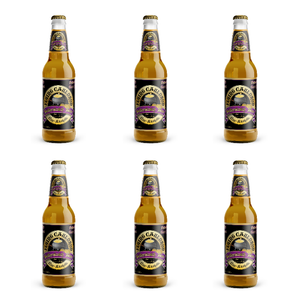 Harry Potter Butterscotch Beer 330 ml 6 Flaschen