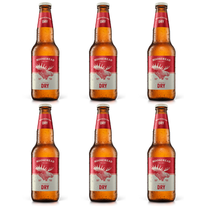Moosehead Premium Dry 6x 341 ml Flasche. Original kanadisches Bier